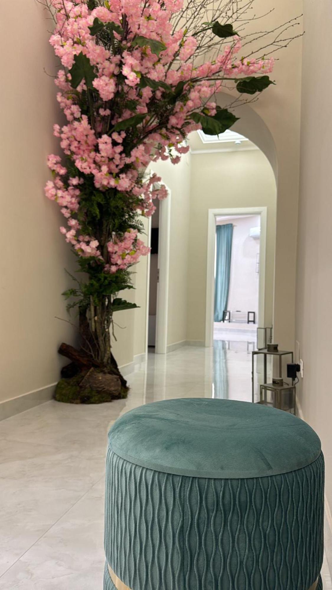 Royal Dream Bed & Breakfast Naples Exterior photo